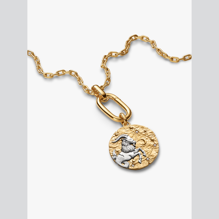 Charm Medallion XL Capricorno "Nihil Difficile Volenti"