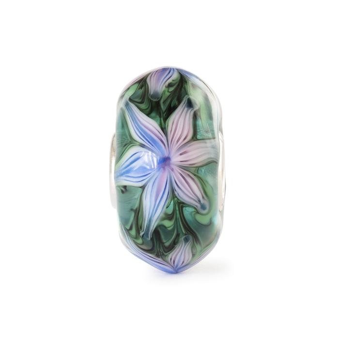 Fiore d'Acqua