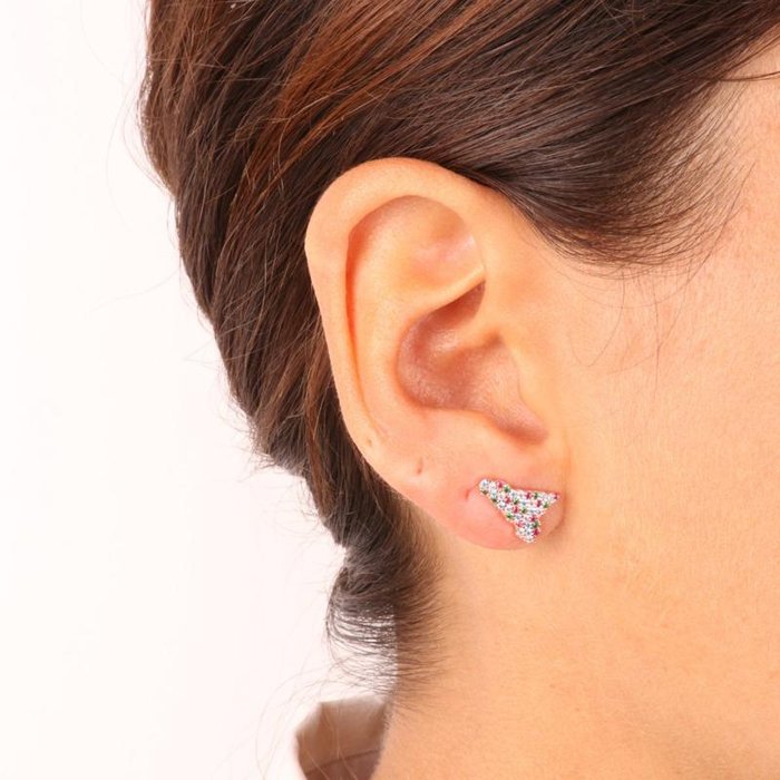Orecchini in Argento 925