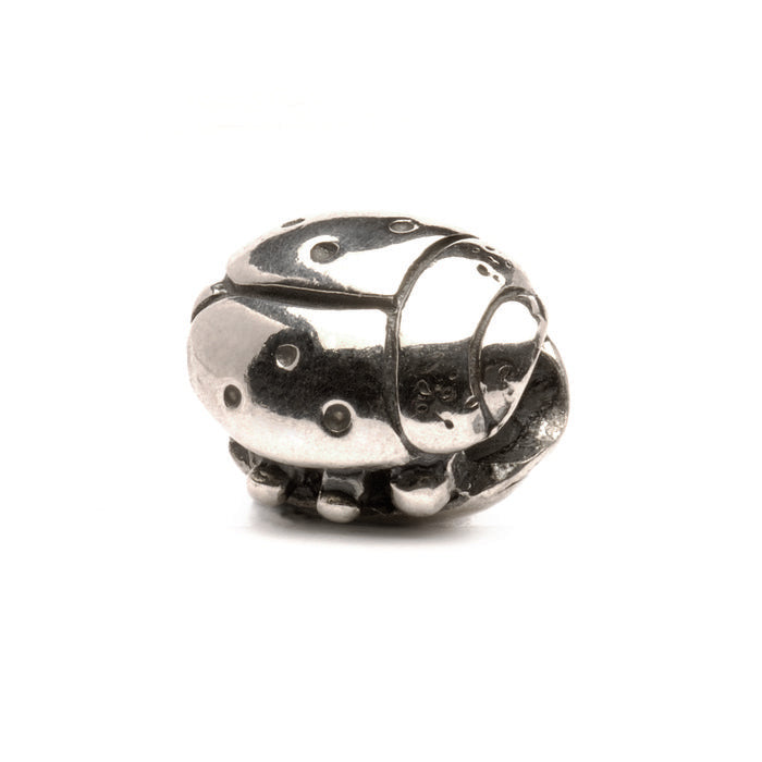 Coccinella