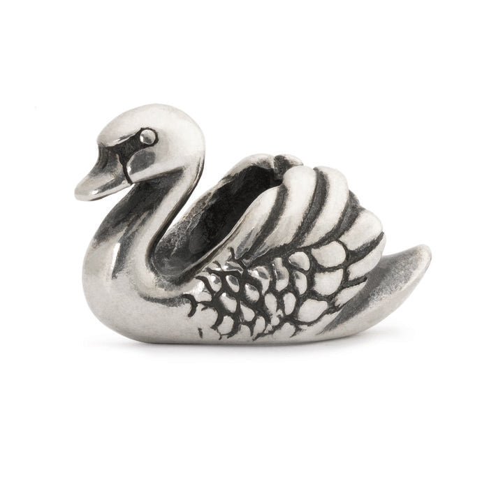 Cigno