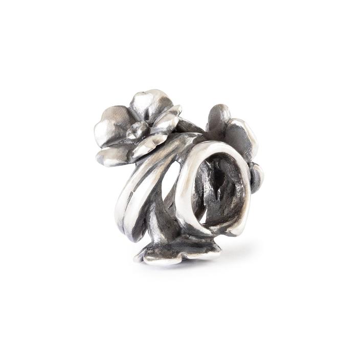Elegante Fiore di Ciliegio