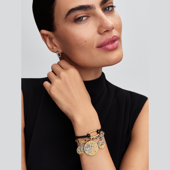 Charm Medallion Ariete