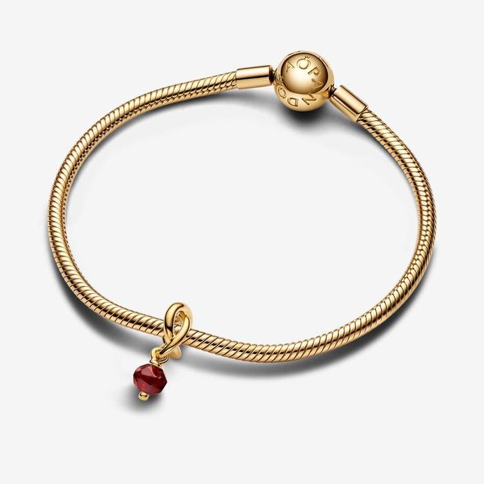 Charm Pendente Cerchio Eterno Rosso Scuro Gennaio