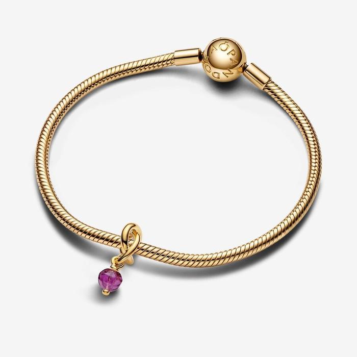 Charm Pendente Cerchio Eterno Viola Febbraio