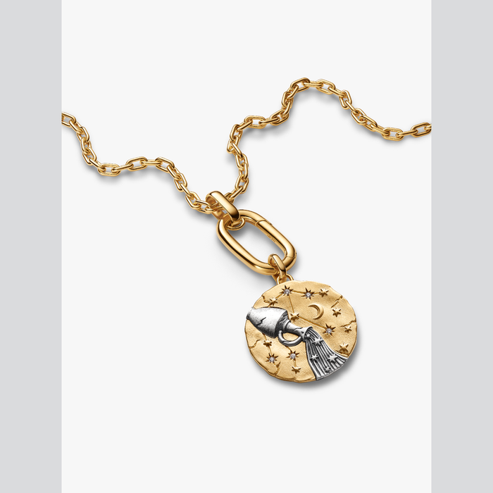 Charm Medallion XL Acquario "Omnia Mutantur"
