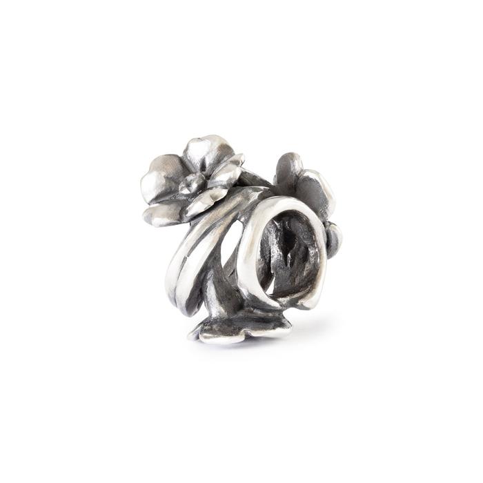 Elegante Fiore di Ciliegio