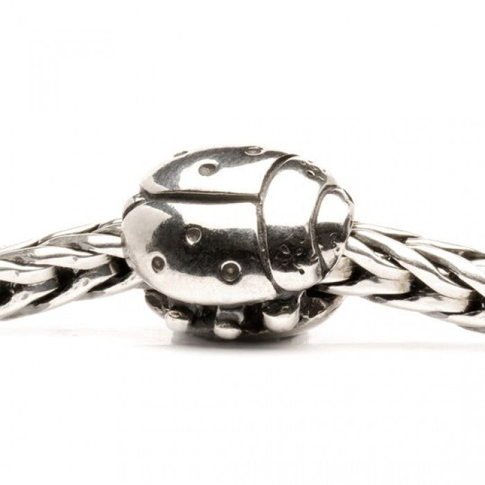 Coccinella