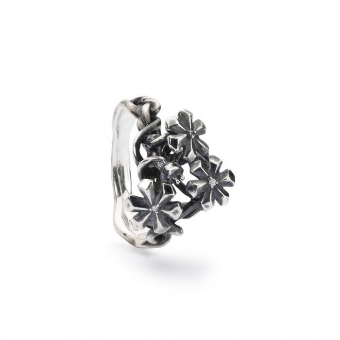 Anello luce di stella